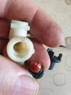 Ekspres AEG CF100 - podczas spieniania zawsze zapowietrza się