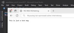 Browser window at 192.168.0.163/testmsg displaying the text: This is just a test msg.