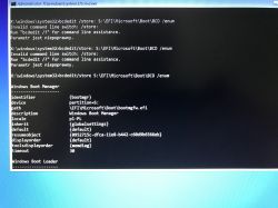 Windows10 SrtTrail.txt Issue: Black Screen After Restoring, GTX 970M Driver Concerns