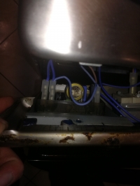 Indesit electric oven, unknown model - clock and oven not working