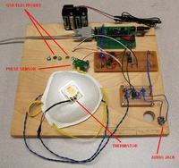 Zaawansowany poligraf