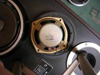 Wymiana,naprawa głosniczków.Jakie?