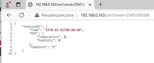 Screenshot from a browser showing the result of a command in JSON format with IP address 192.168.0.163.