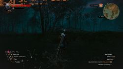 GT1030 Zotac 2GB, i5-4440 - Test Wiedźmin 3 na niskich detalach