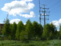 Buying a Plot with 15kV MV Pole: Assessing EMF Harmfulness, Overhead vs. Underground Cables