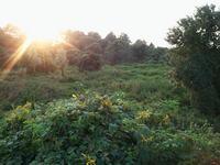 KONKURS!!! "Ciekawe zjawisko meteorologiczne"- Wyniki!