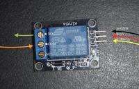 Światełka Choinkowe aktywowane ruchem