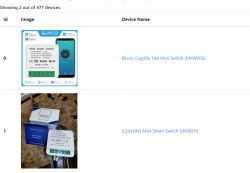 The image shows two devices: Elivco Cozylife 16A Mini Switch (RMW002) and CozyLife Mini Smart Switch (LN882H) with product names and images.