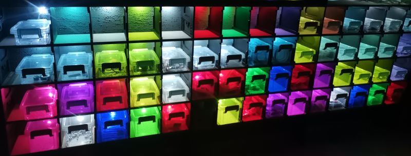 Color-lit plastic storage bins arranged in a workshop shelving unit