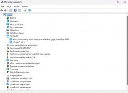 Zrzut ekranu menedżera urządzeń w systemie Windows z rozwiniętymi kategoriami urządzeń.