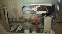 Zmywarka Siemens SE66T373EU/10- jak rozebrać, wyczyścić pływak?