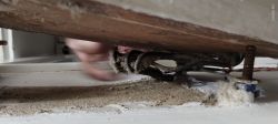Stara instalacja elektryczna z zakurzonymi przewodami pod drewnianą podłogą.