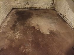 Zbliżenie na starą, popękaną i miejscami ubytą posadzkę betonową w piwnicy z ceglaną, pobieloną ścianą w tle.