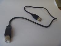 Światełka Choinkowe aktywowane ruchem