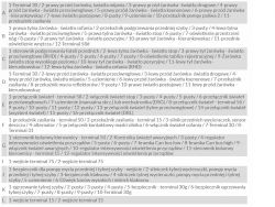 Golf V 2006 1,9TDI 3D Centralka Bortnetz 3C0937049D dobór i wymiana kodowanie nowego 3C0937049E .