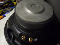 Co to za głośnik, czy ktoś może pomóc