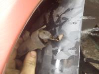 Megane 2 2004r - Szyba kierowcy traci pamięć co jakiś czas - chodzi skokami