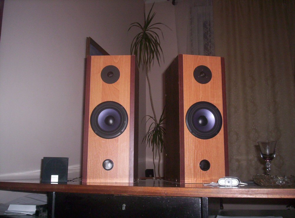 Moja pierwsza konstrukcja-Kolumny stereo oparte na Tonsilach Moja pierwsza konstrukcja-Kolumny stereo oparte na Tonsilach