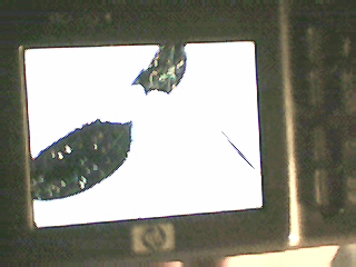 uszkodzony wyświetlacz w hp photosmart m417