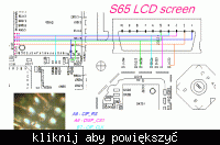 Siemens S65 - wyświetlacz świeci na biało po upadku, co robić?