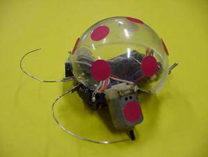 Robot BeetleBot, bez mikrokontrolera, filmy na youtube.