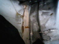 Ford Escort - spaw w bagażniku