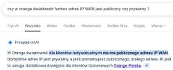Zrzut ekranu z wynikami wyszukiwania o adresie IP WAN w Orange światłowód