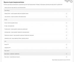 Zrzut ekranu z panelu DirectAdmin z opcjami tworzenia ręcznych kopii zapasowych.