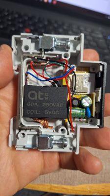 View of the interior of an electronic device with a 60A 250VAC relay.