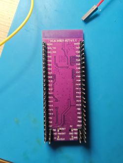 HLK-W801-KIT-V1.1 electronic module on a blue work surface.