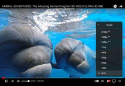 Dlaczego nie polecam produktów Apple i aktualizacji