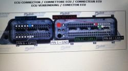 ECU connector with labeled pins for ground, power supply, and CAN lines.