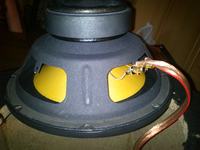 Identyfikacja głośnika AudioSystem - Radion? + Dane do budowy skrzyni