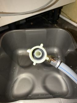 Beko DFN05X10S - zmywarka nie pobiera wody i nie myje