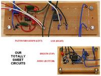 Zaawansowany poligraf