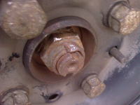 Seicento, Fiat,Nakrętka piasty koła-bezpieczna eksploatacja?