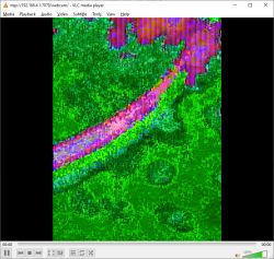 Distorted webcam feed with dominant green, pink, and purple colors