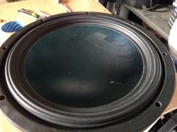 Identyfikacja nieznanego Woofera 12 bez oznaczeń - jak rozpoznać model?