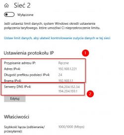 Zrzut ekranu ustawień protokołu IP w systemie Windows.