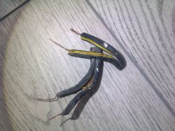 Zdjęcia najlepszych i najgorszych instalacji elektrycznych.