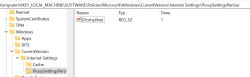 Zrzut ekranu rejestru Windows z ustawieniem ProxySettingsPerUser.