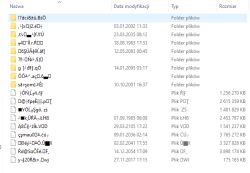 Zrzut Eksploratora plików Windows z listą folderów i plików o zniekształconych nazwach
