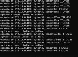 Screen showing ping results to IP 172.16.0.107 with varying response times