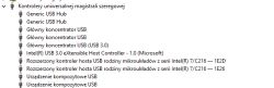 Lista kontrolerów USB w Menedżerze urządzeń systemu Windows 10
