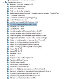 Lista urządzeń systemowych z jednym oznaczonym problemem