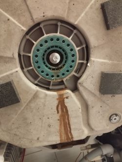 Widok części wewnętrznej pralki Electrolux z wymontowanym kołem pasowym.