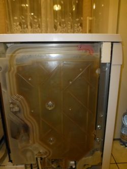 Bosch SMS50MO2EU / 1 dishwasher - how to get to the pump (does not heat the wate