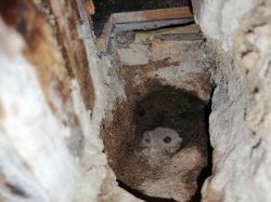 Moisture Issue under Floor & Socket Smell - Help with Door Frame, Skirting Boards & Damp Walls Moisture Issue under Floor & Socket Smell - Help with Door Frame, Skirting Boards & Damp Walls