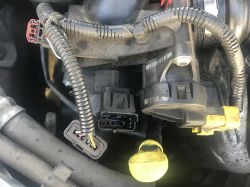 Ford Focus mk2 1.6TDCI '06 - Błąd P024E, Kontrolka Silnika