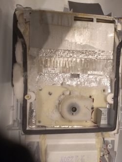 Samsung RSH1KLBG - zamrożony parownik lodówki Samsung RSH1KLBG - zamrożony parownik lodówki